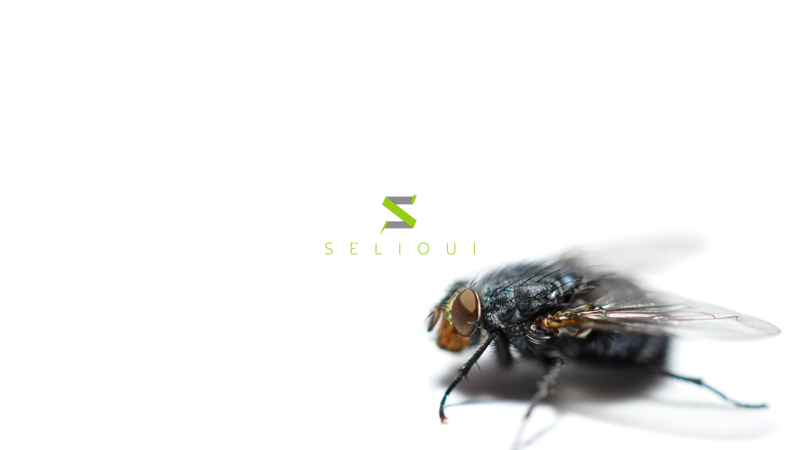 seliqui-v18-Desktop-2560x1440-fly.jpg