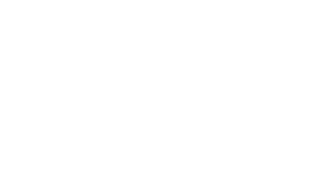 BDI-BioEnergy International GmbH